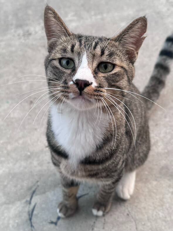 소통) 존예있음 라콜 ㄱㄱ