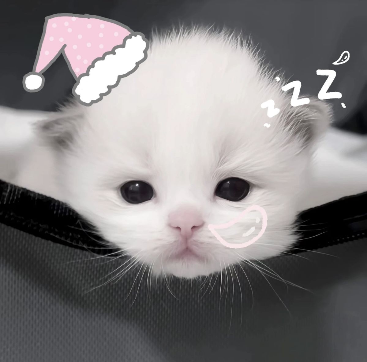 짧방) 휴방이지만 11월 끝이니..