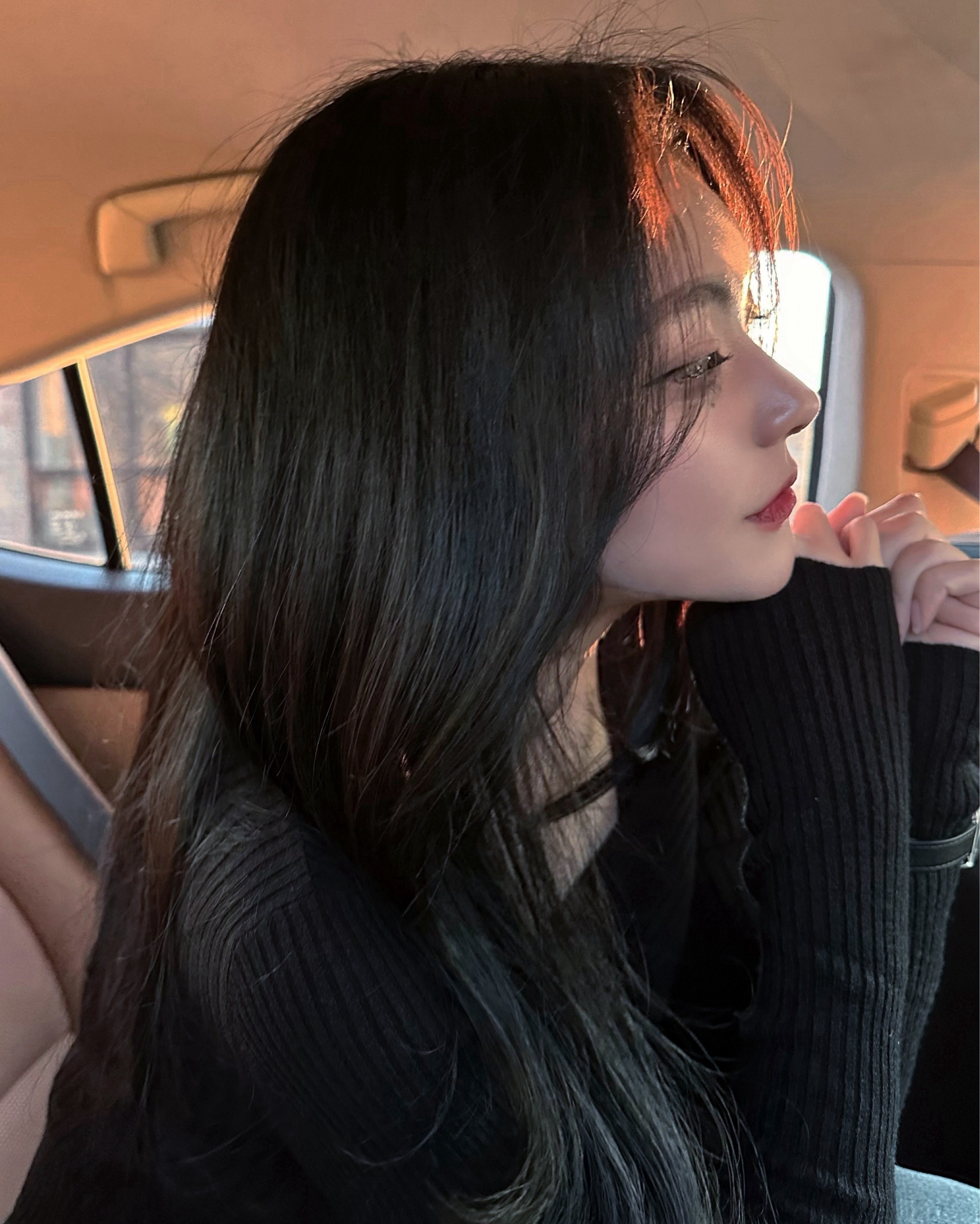 아름답고 미운 새