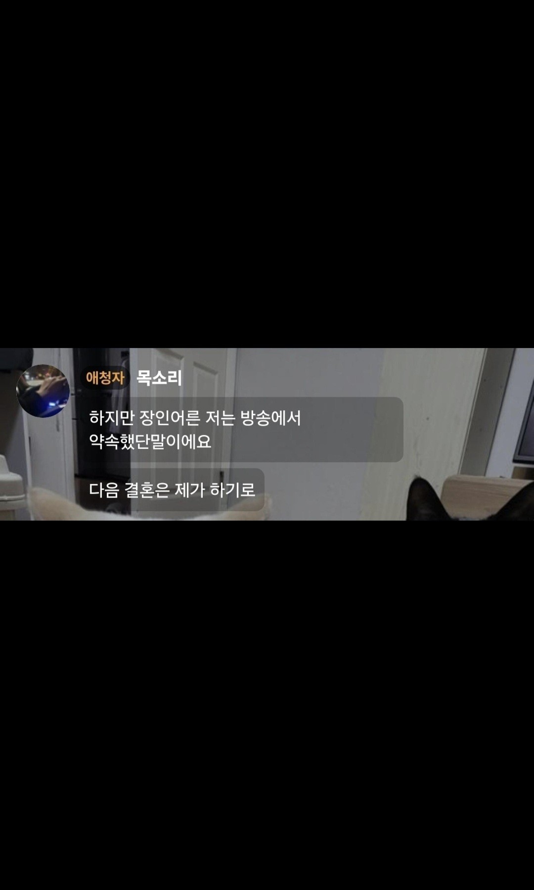 어딜봐 🐈‍⬛
