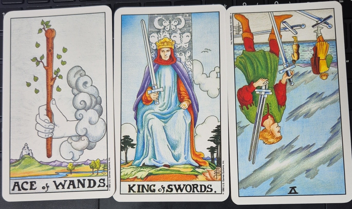 『 잠시 타로 』