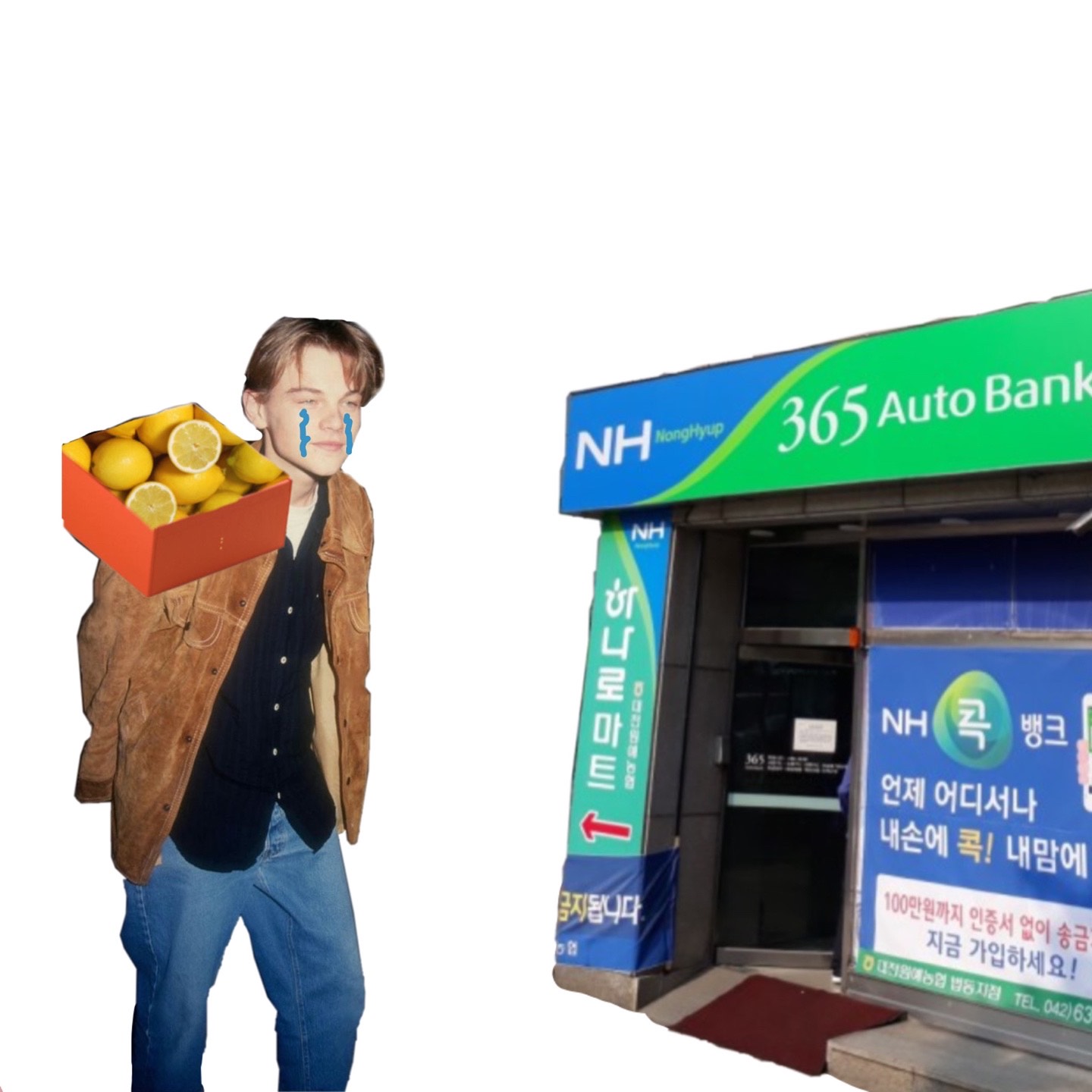 레몬 나르고 빚갚으리오