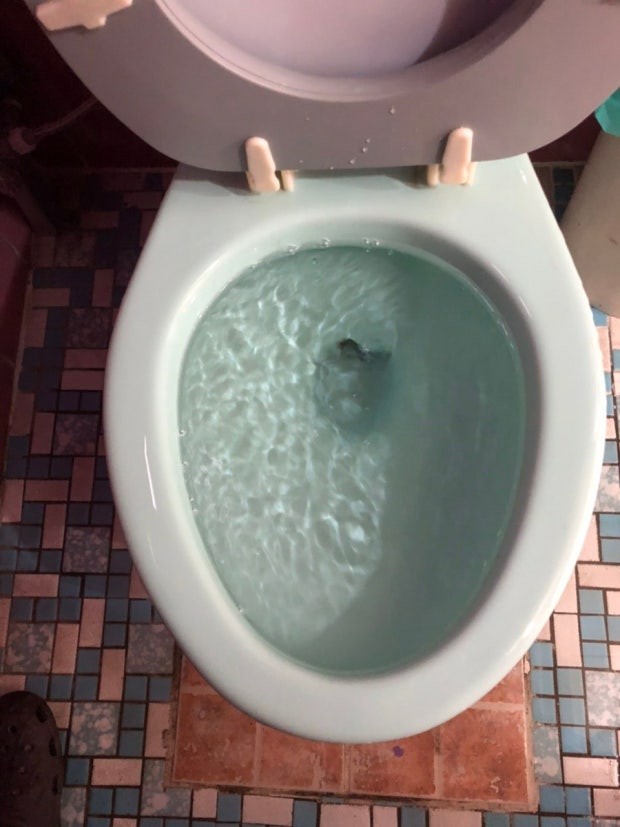 설레는 풀텐션 소개팅