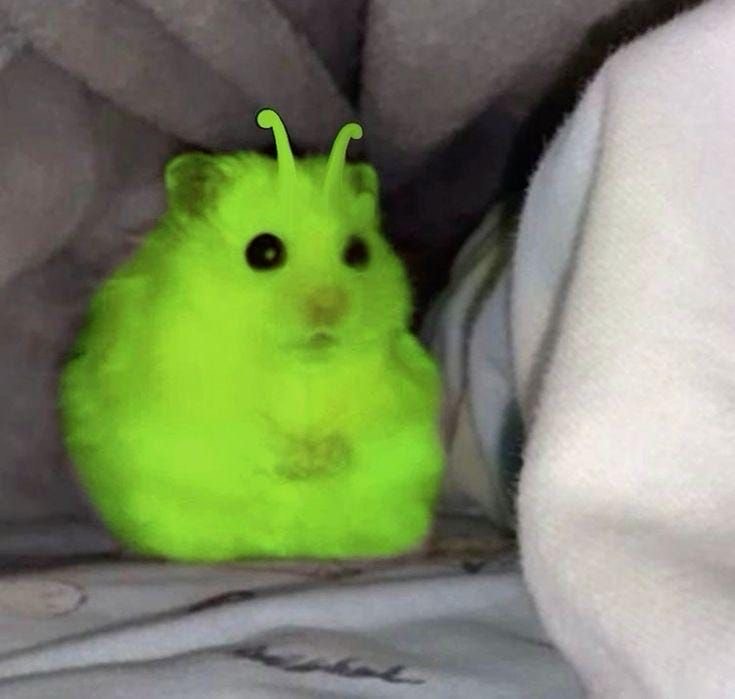 인생 노잼모드 스타트