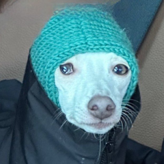 인생 노잼모드 스타트