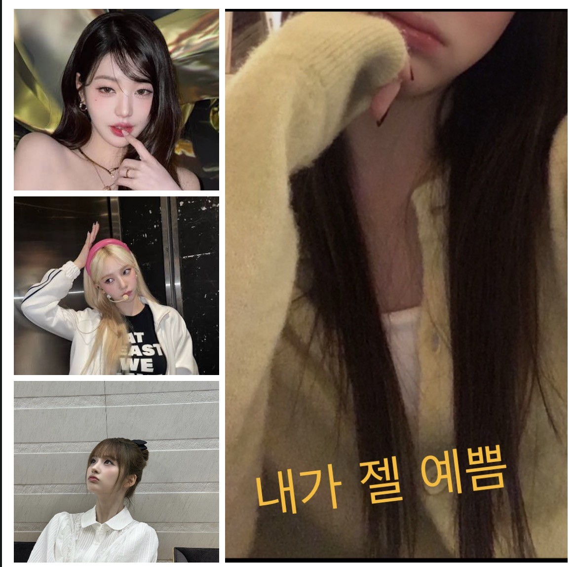 장카설유말고 장카설캣