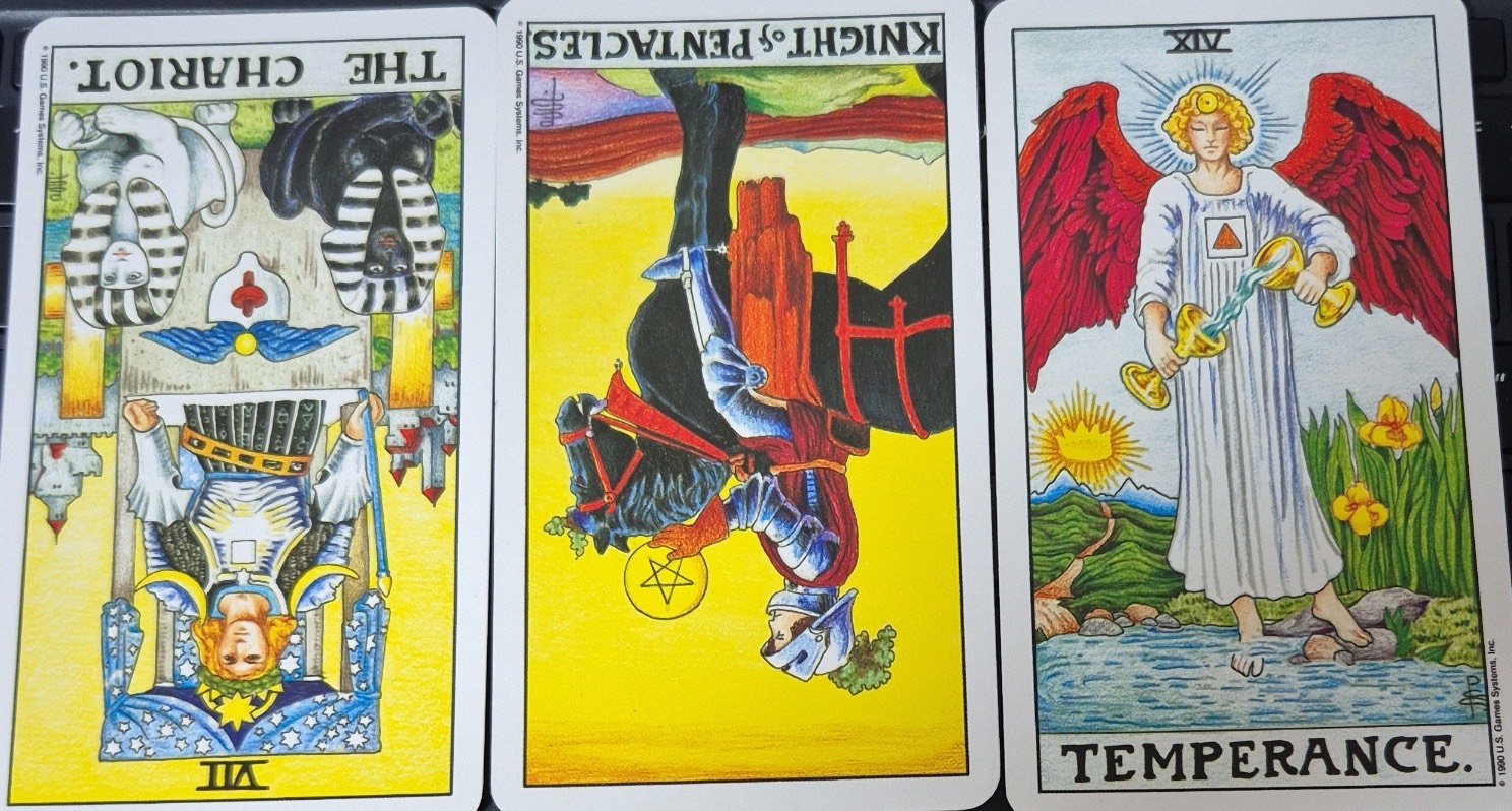 『 잠시 타로🌙 』 