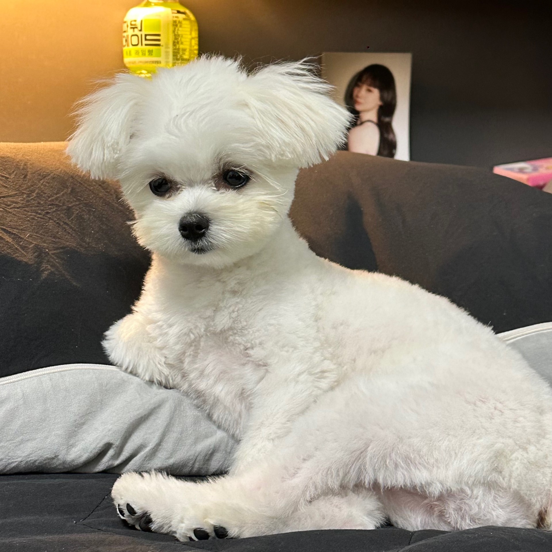 심심해서 킴  곽아다 방송><