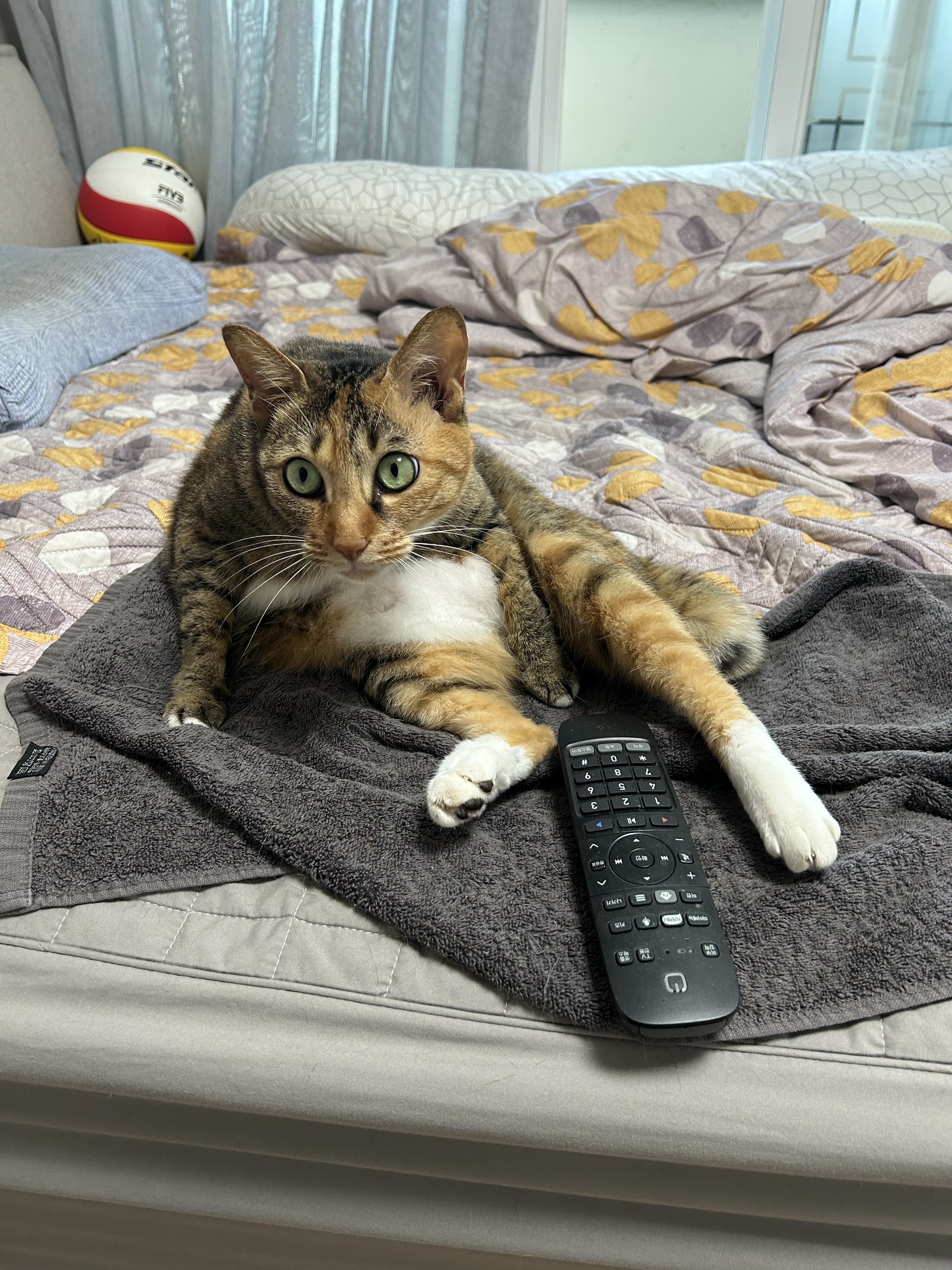 제목을 입력해주세요.