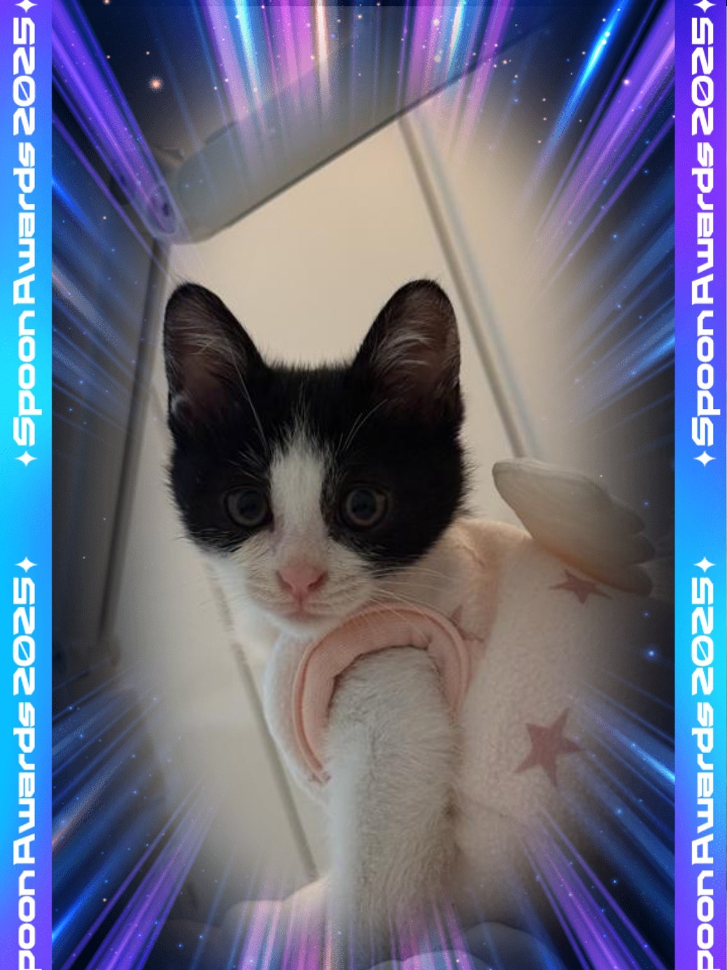 출근엔 쿠모 한 잔 ☕