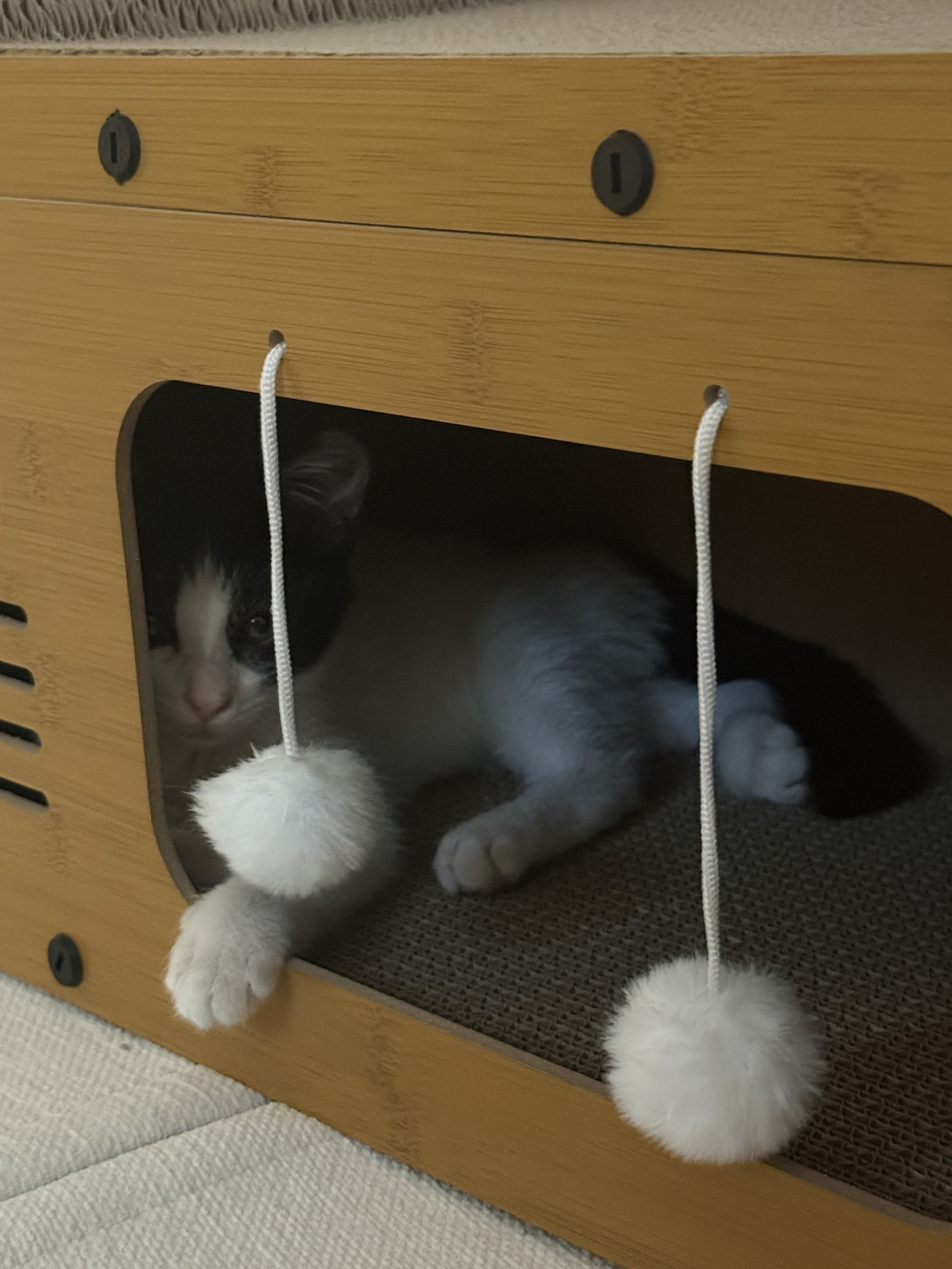 출근엔 쿠모 한 잔 ☕