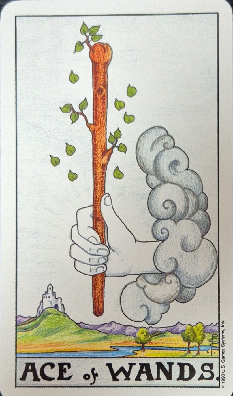 『 잠시 타로🌙 』 