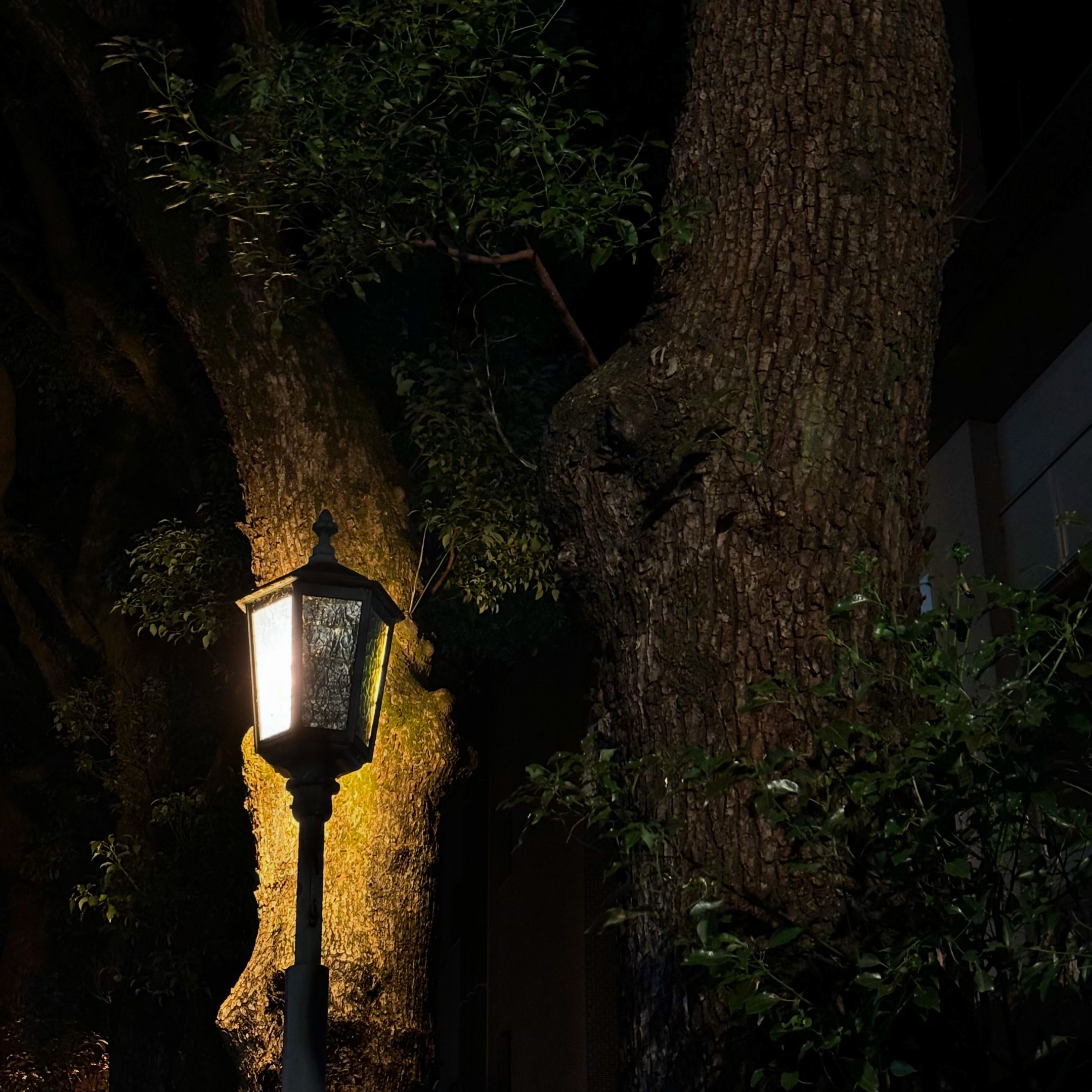 플리) 너와 함께 한지 23일째야