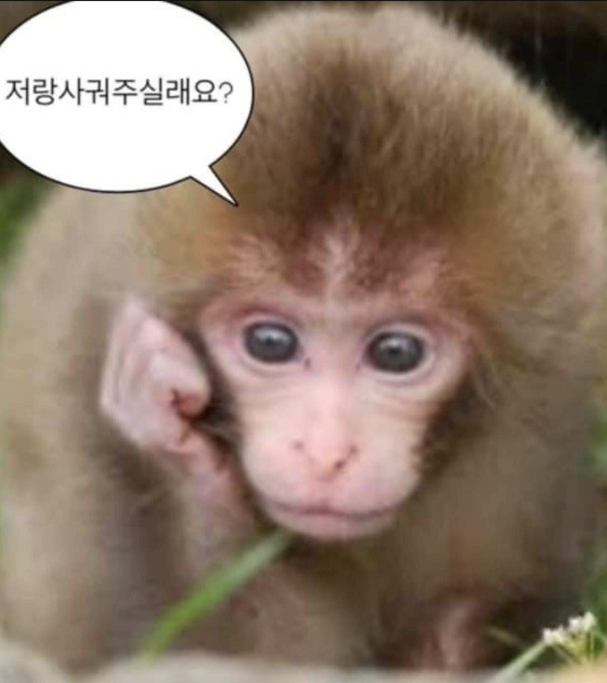 오빵 저랑 사겨죠용 아잉