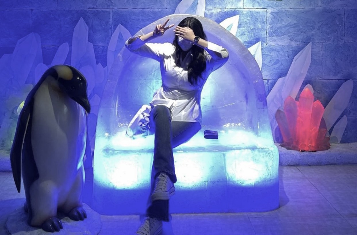 쩌미를 놀아달라