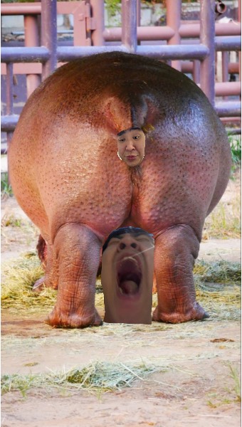 저 좀 살려주세여..