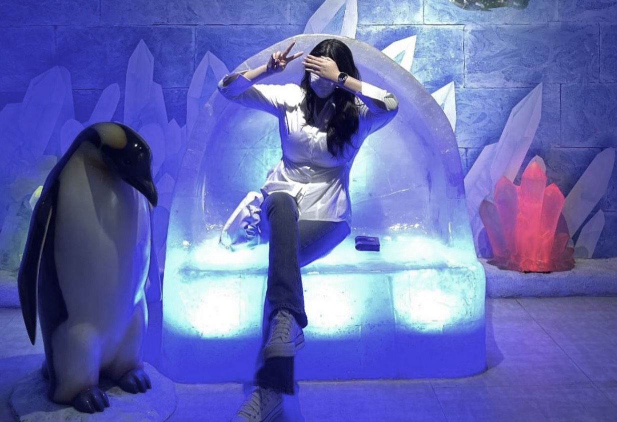 쩌미를 놀아달라