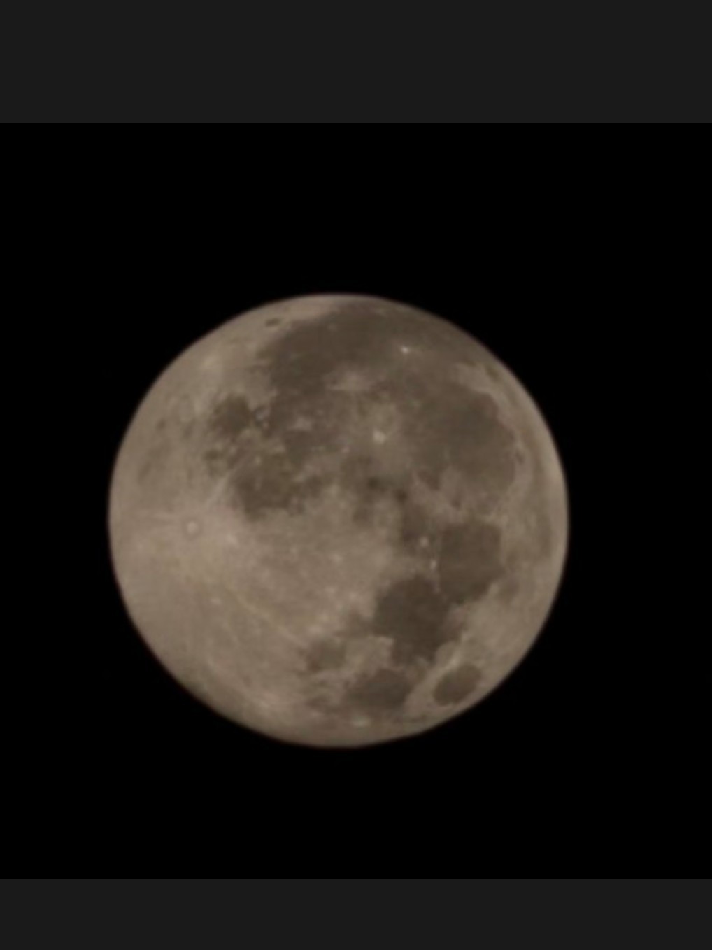 12월도 냥냥하게 💖