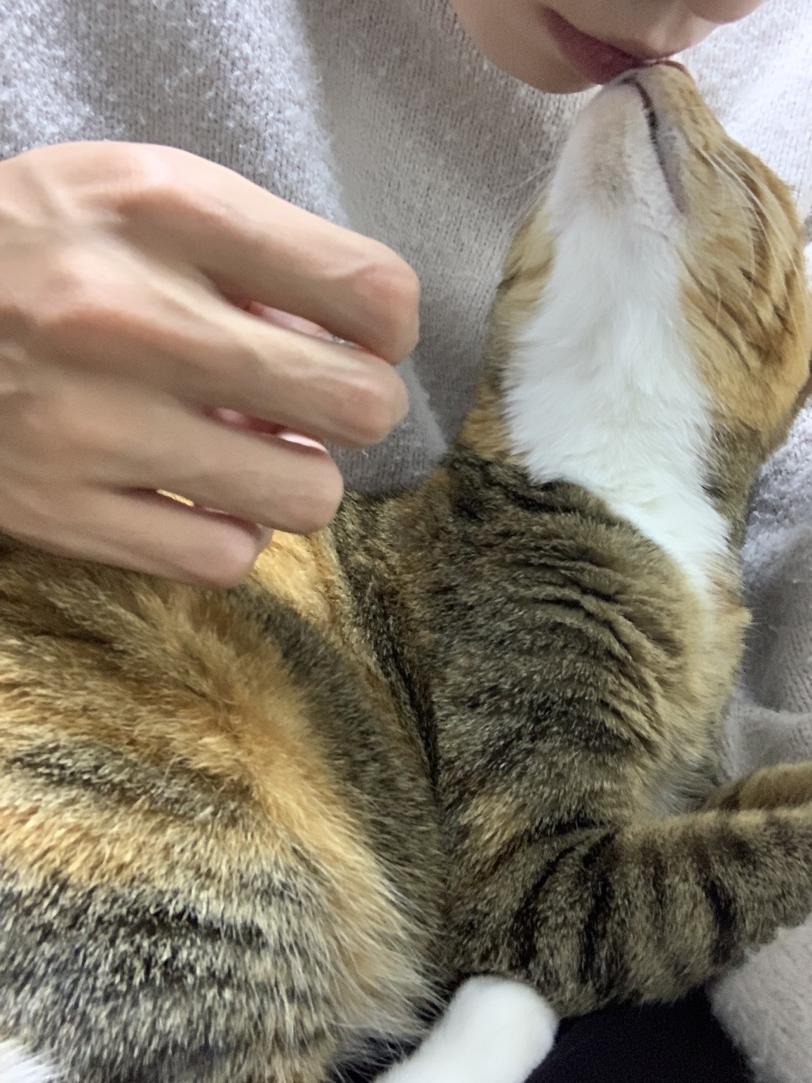 제목을 입력해주세요.