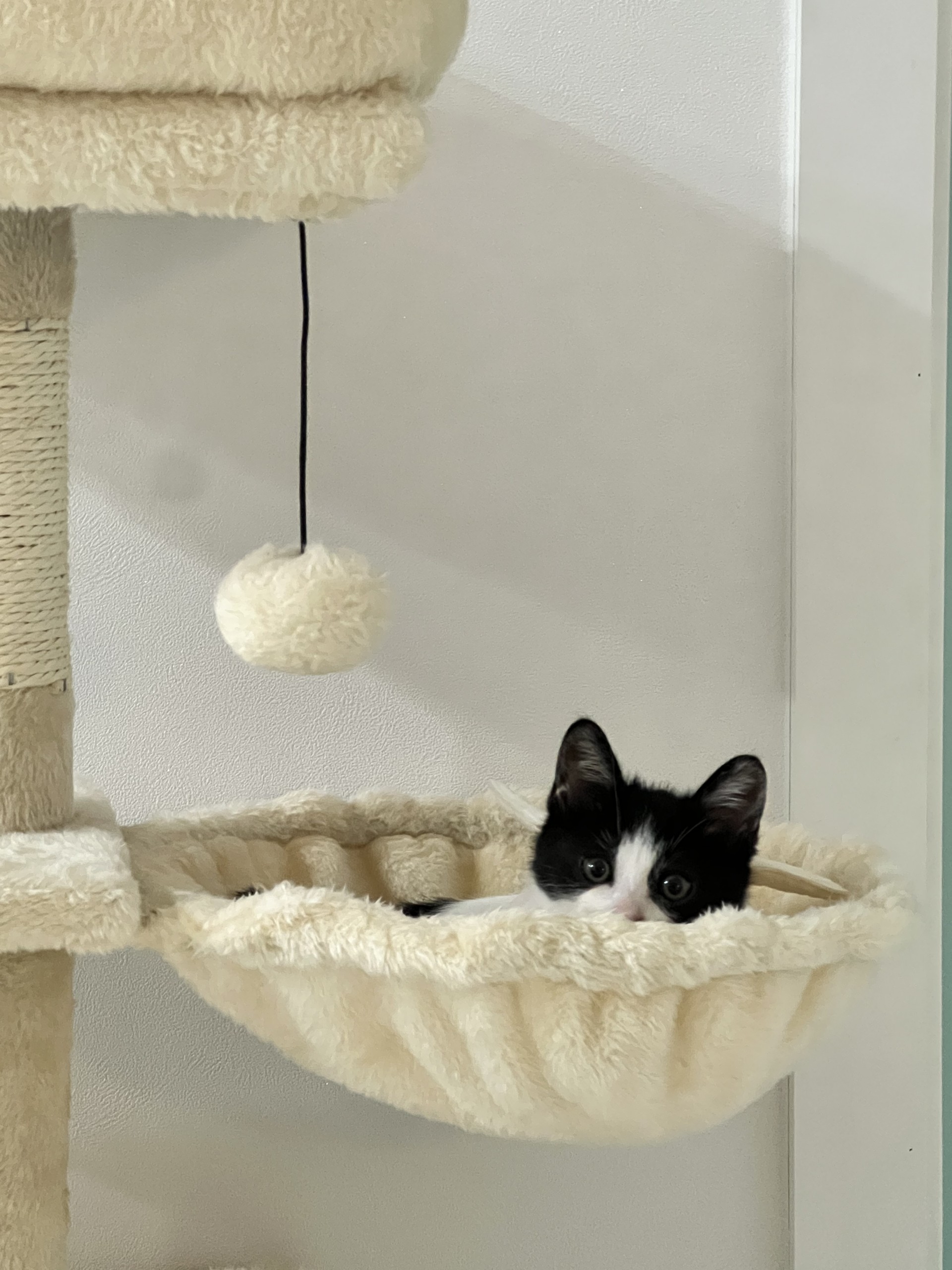 출근엔 쿠모 한 잔 ☕