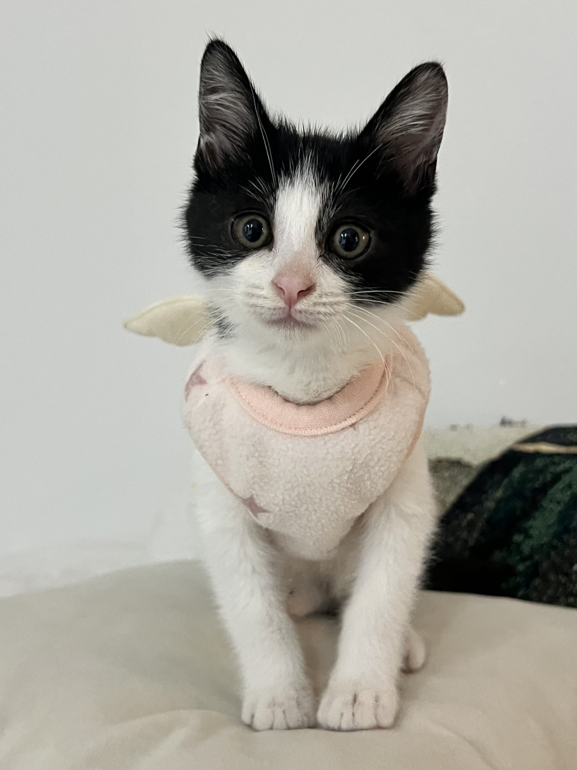 노동요 불러드려요 !