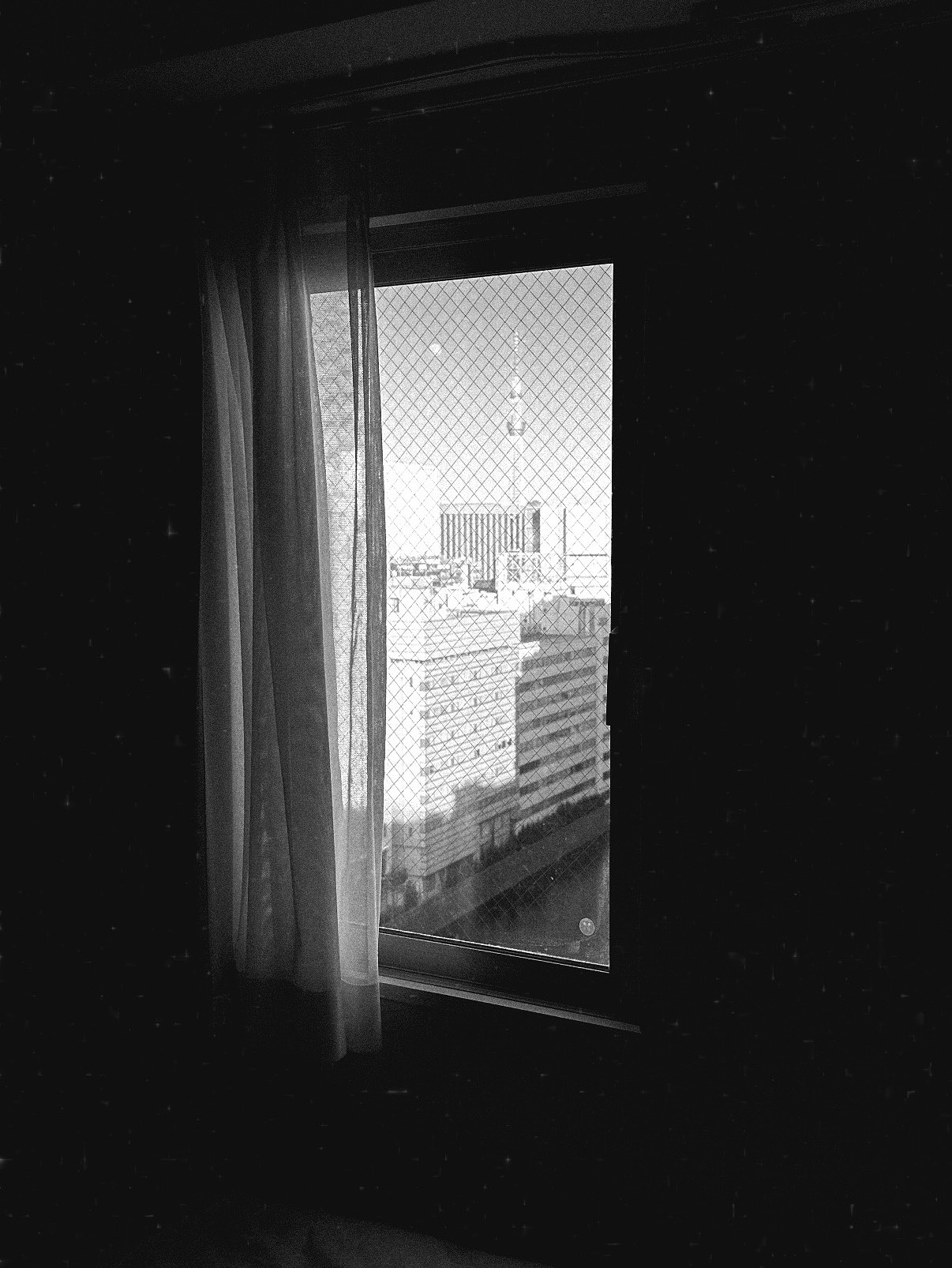 플리) 너와 함께 한지 24일이야 🖤