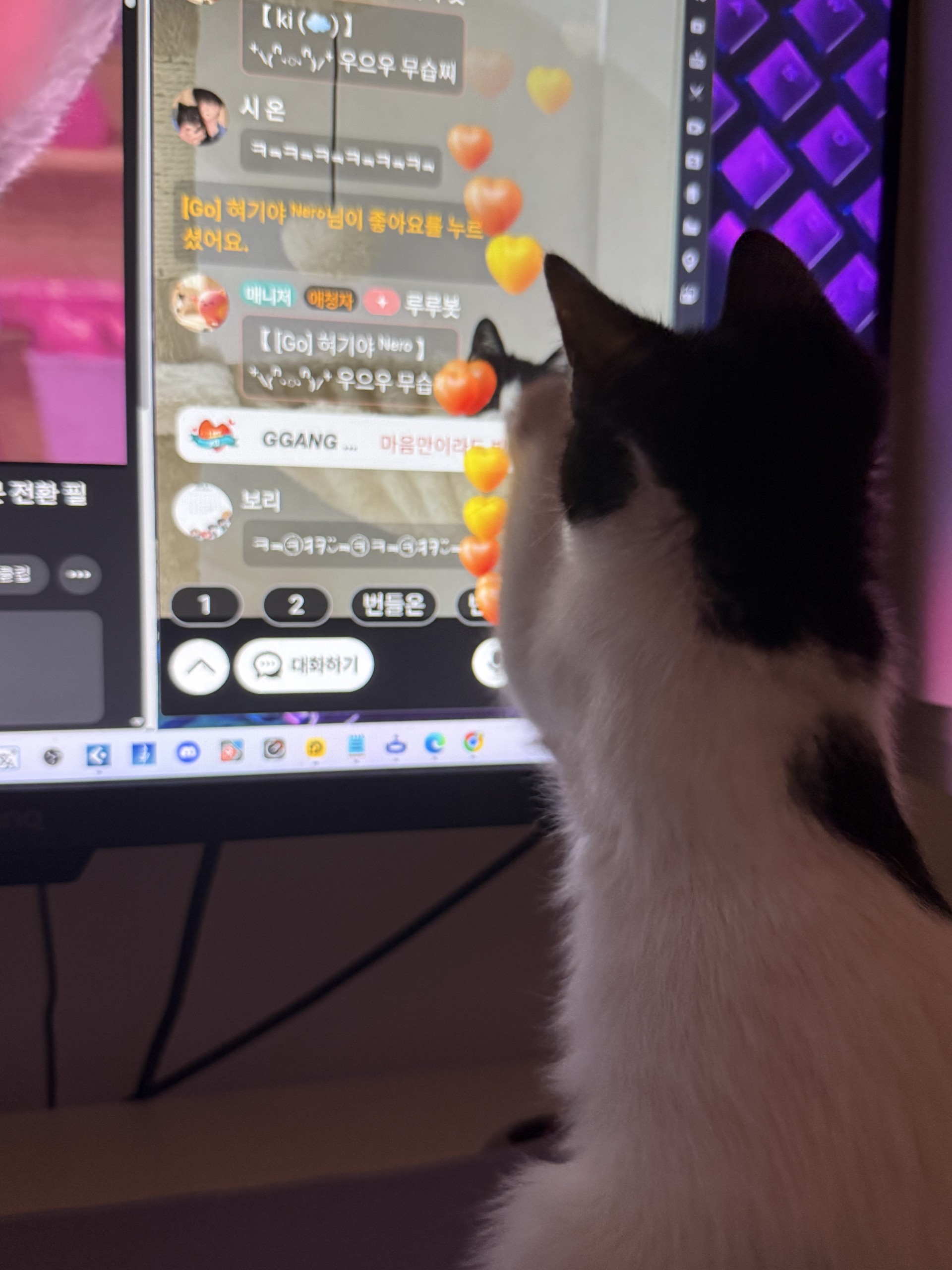 출근엔 쿠모 한 잔 ☕