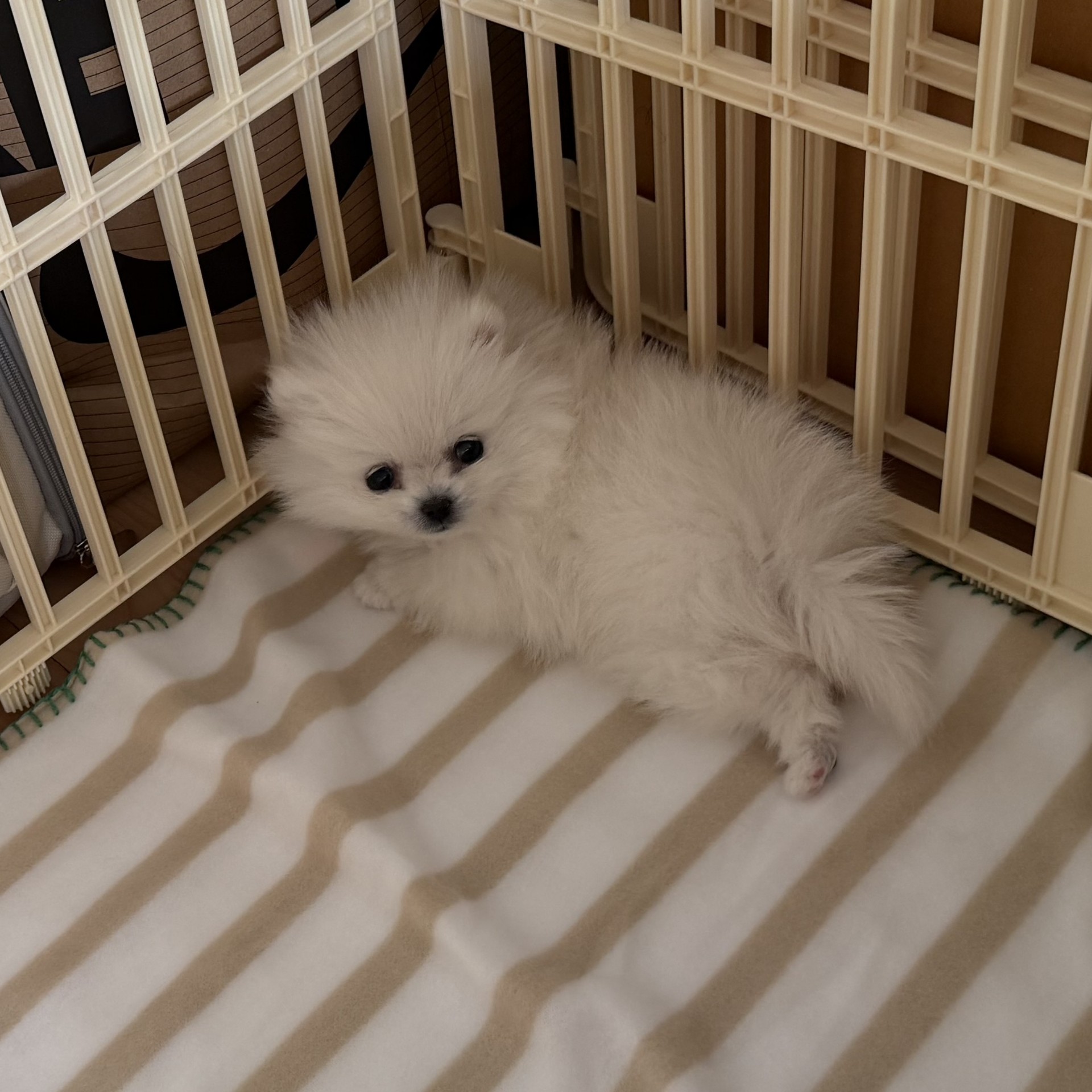 방종푼~!~! (서든 모집)