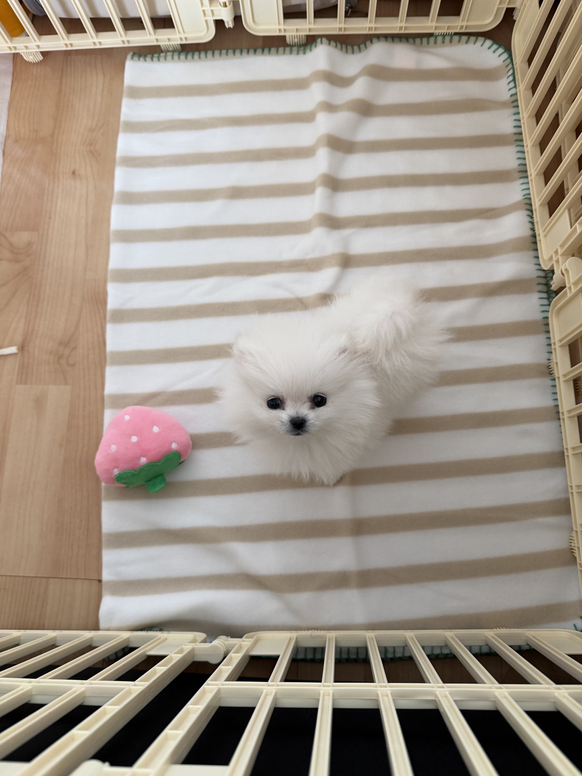 윈터야 잘 살아보자 ㅎㅎ