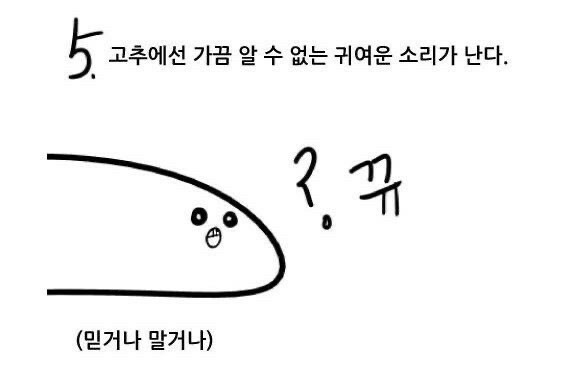 목이 칼칼하이 칼국수 먹고싶다