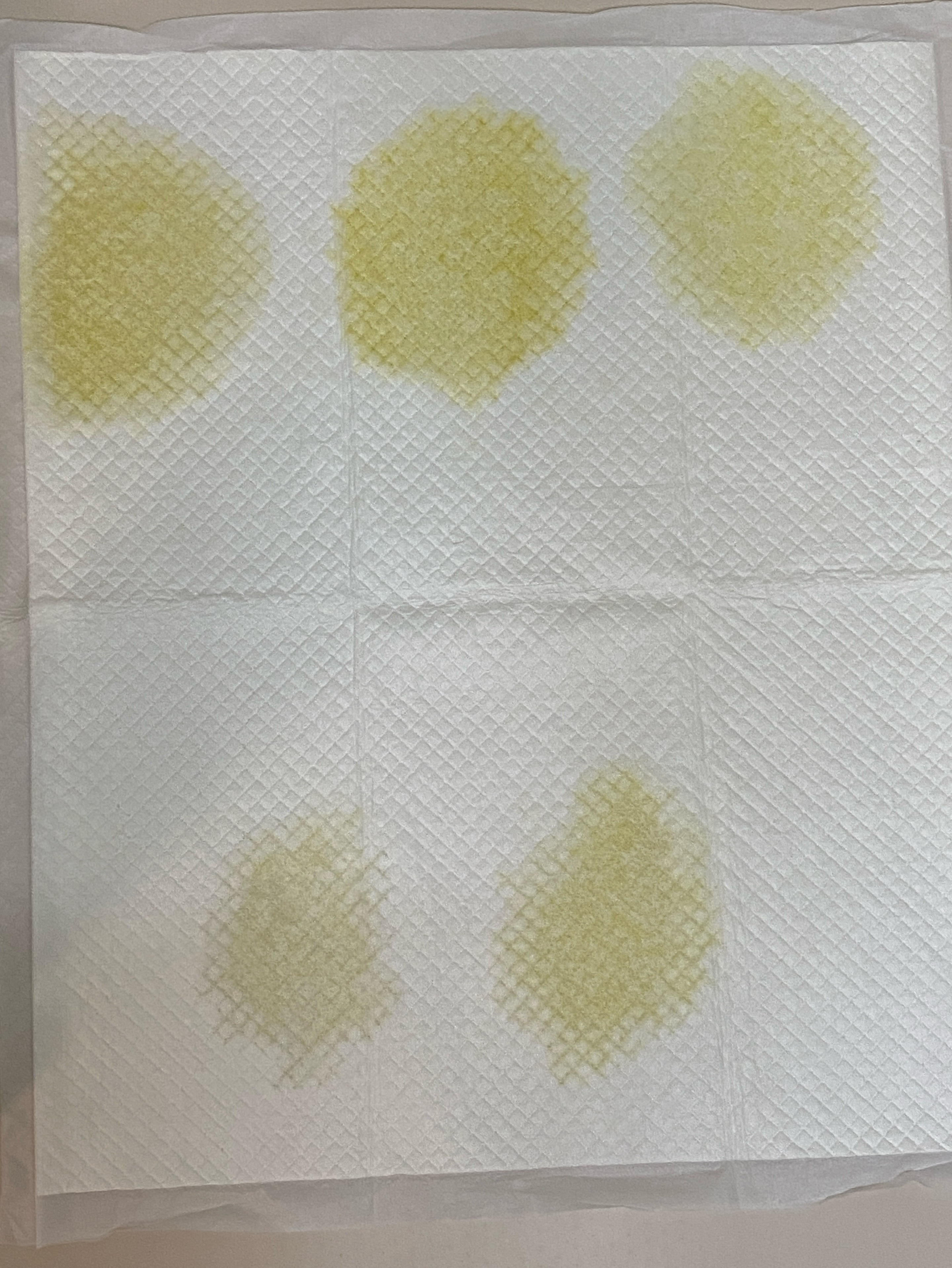 ☁️ 이불속에서 듣는 포근한 목소리☁