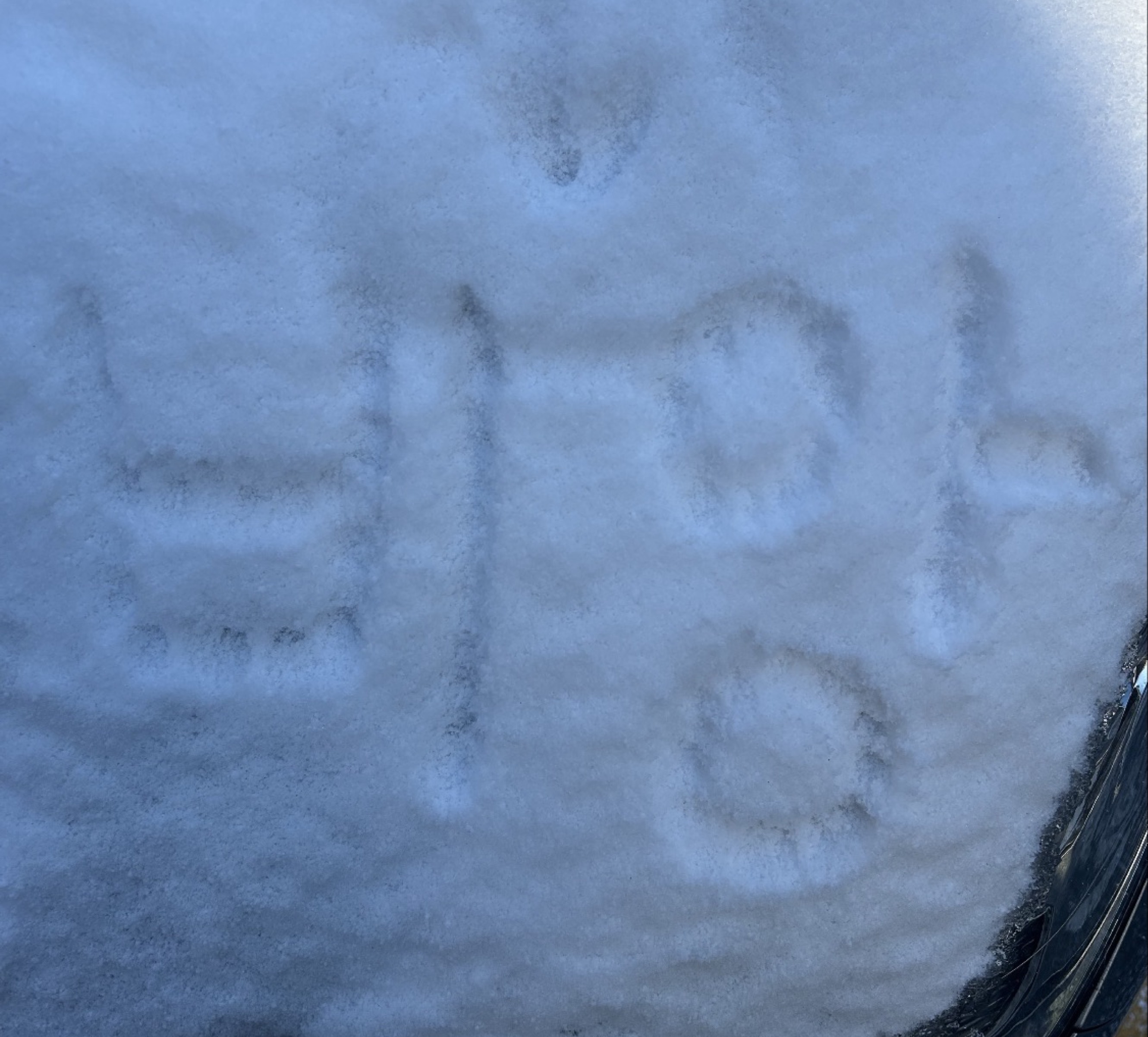 갱상도얼짱 FM.1