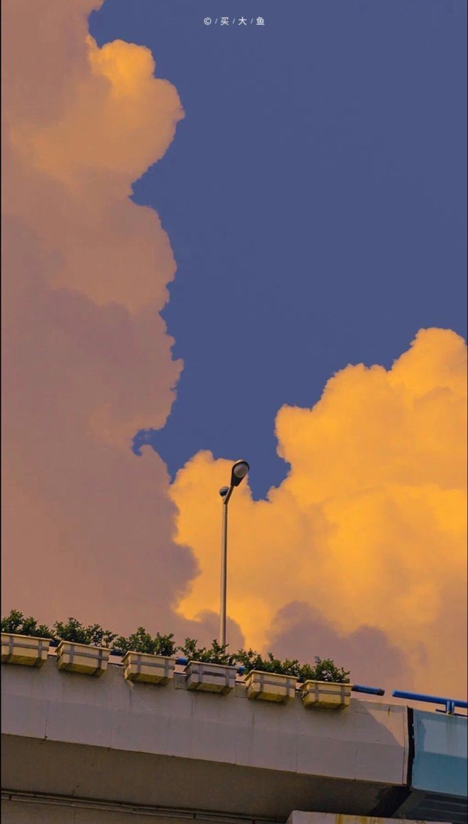 굿모닝이야요...