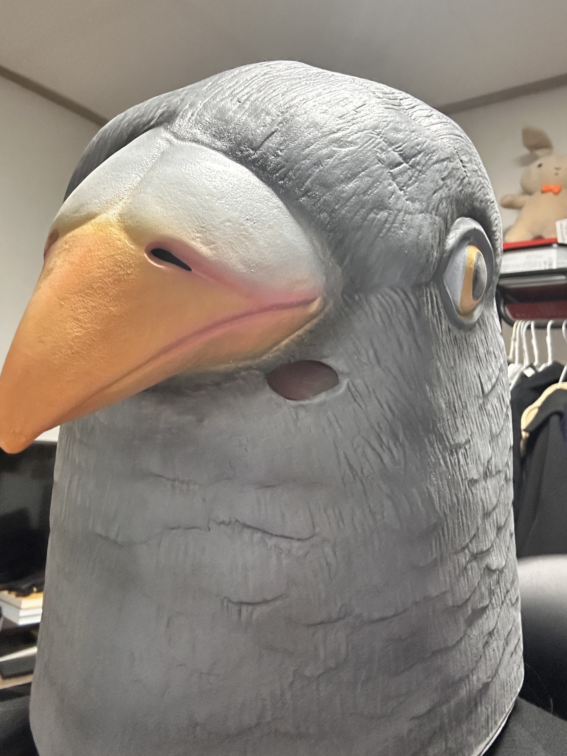 나랑 놀래 안놀래