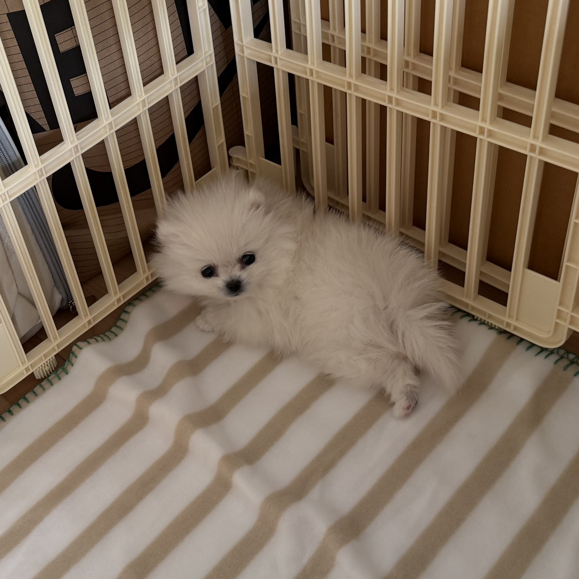 사람이 너무 없어요 ㅜㅜㅜ