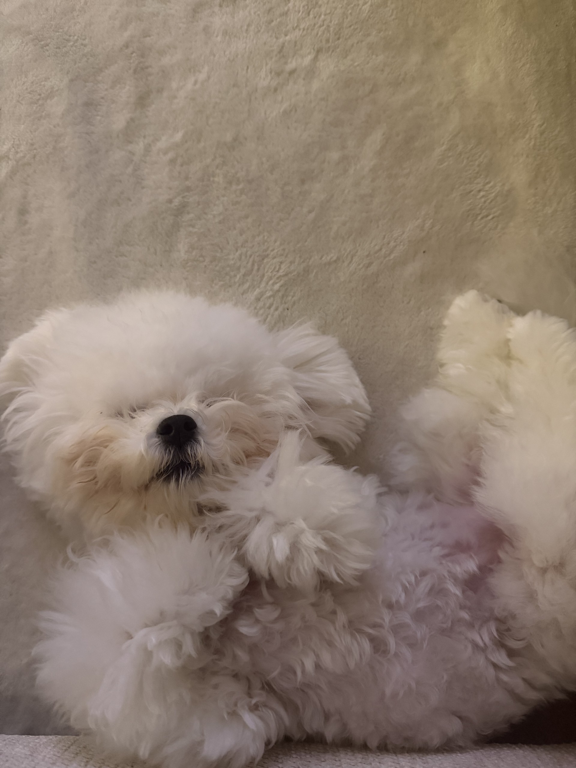 # 감사합니다 ! !