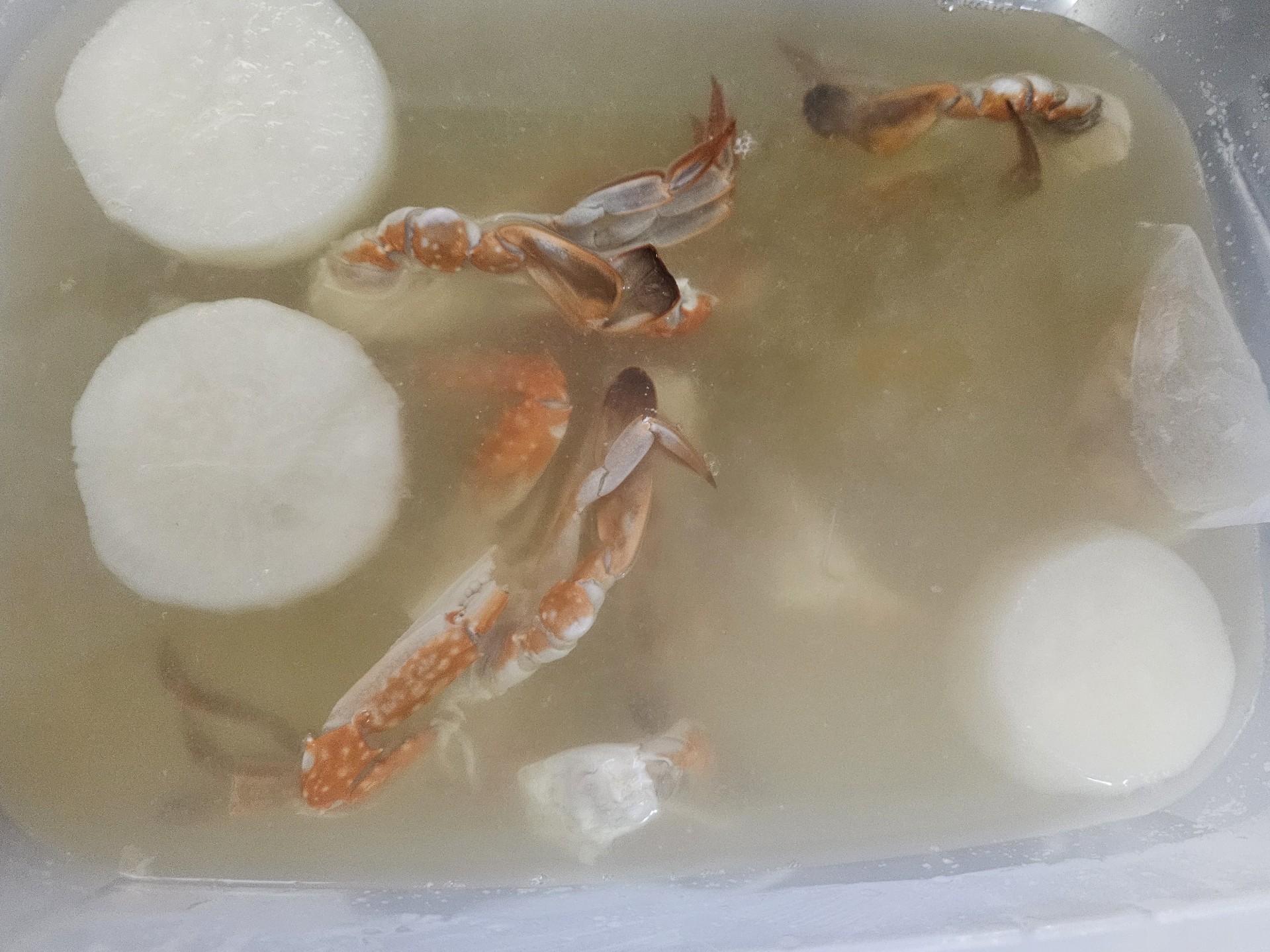 정규❤️ 사랑이와따❤️