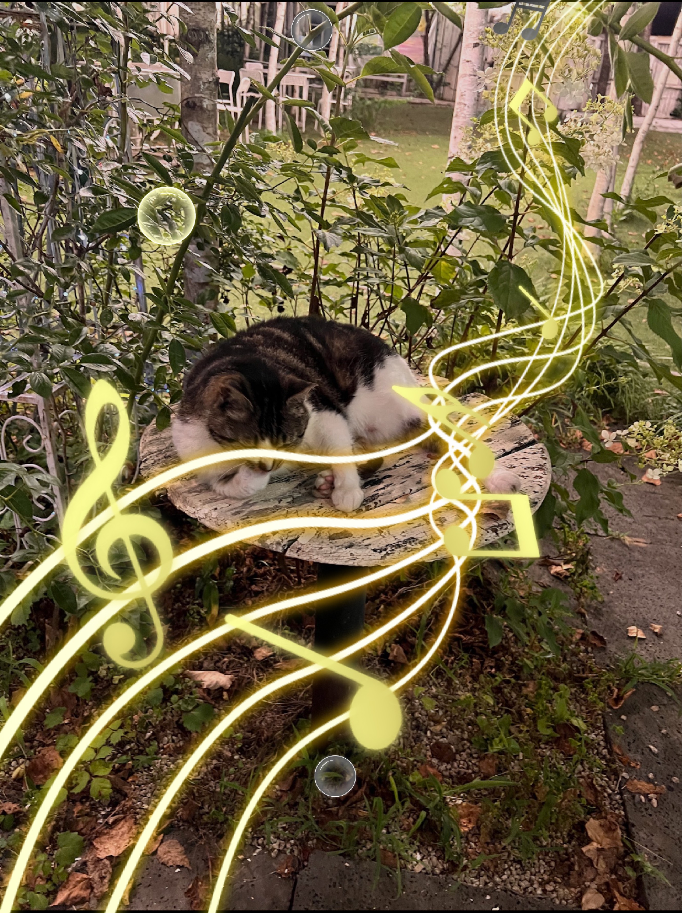 ❄️쏠크대비 소개팅❄️남자부족🥺