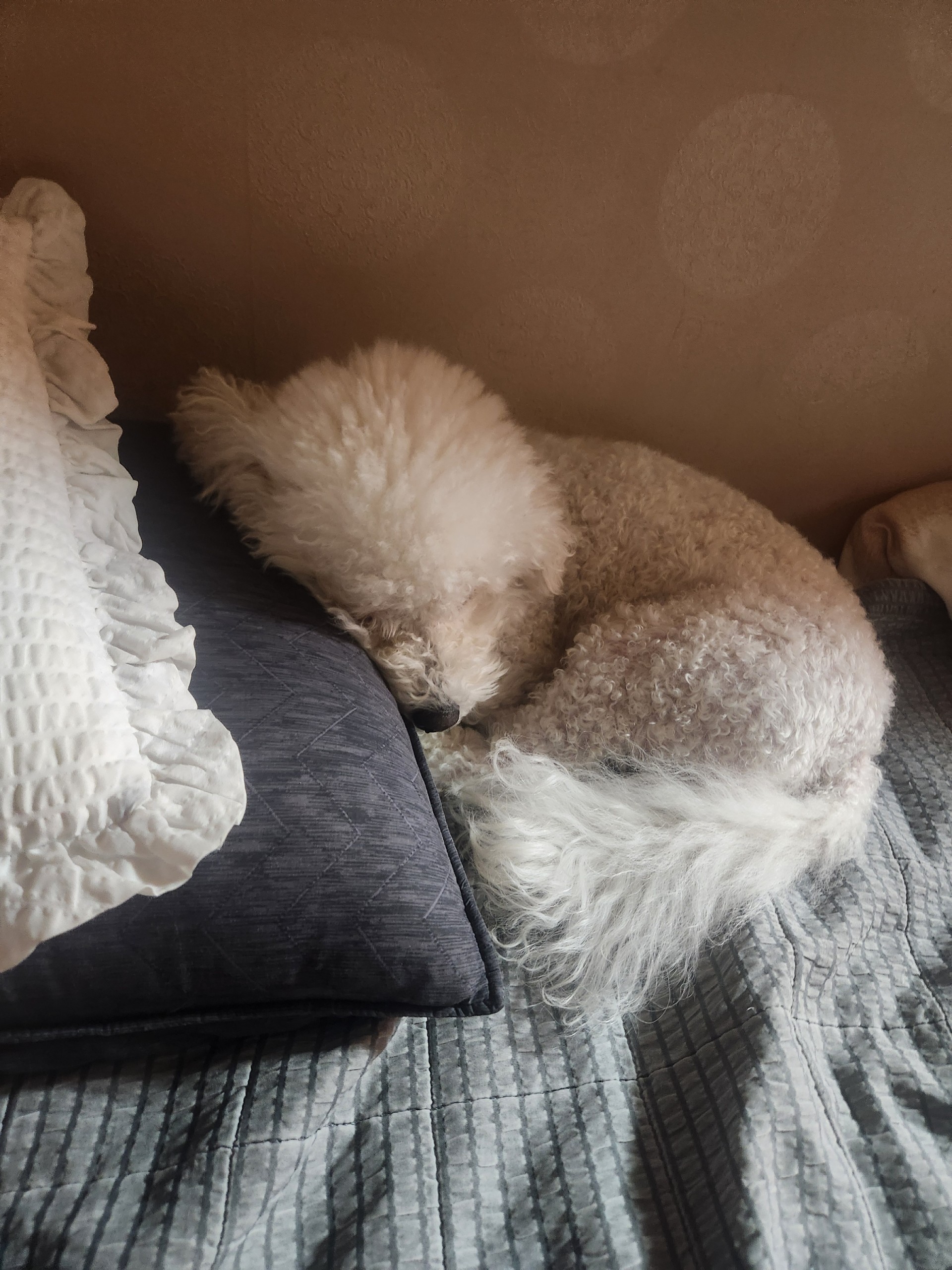 친해지기 쉬워요 🎀