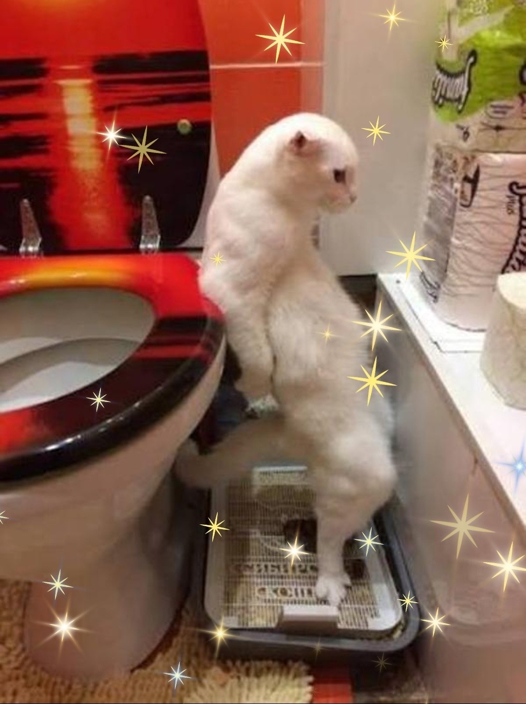 사장님 루왁커피 한 잔 주세요