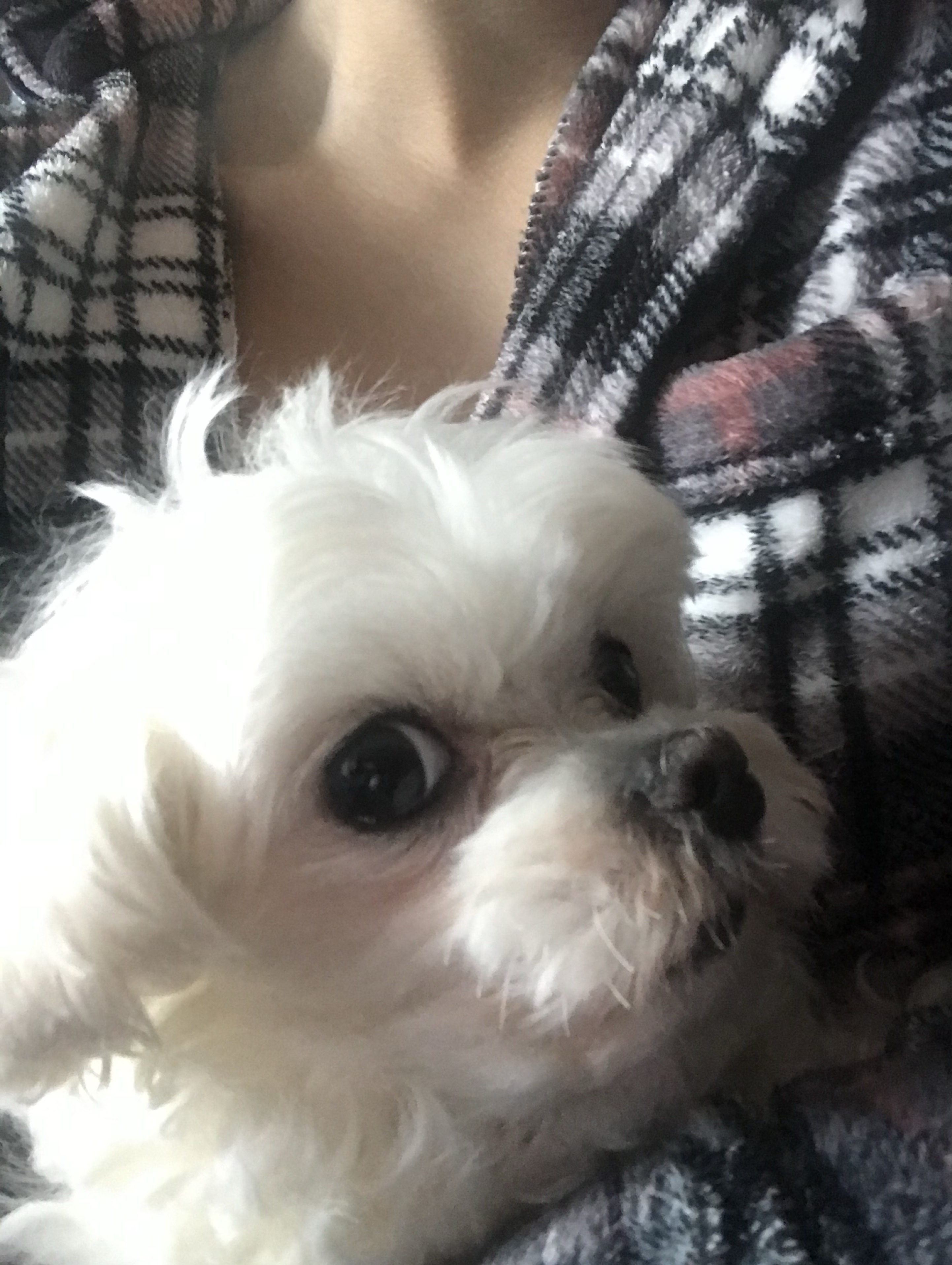 오후에 김놀앙이 왔으니 얼마나 좋겠어