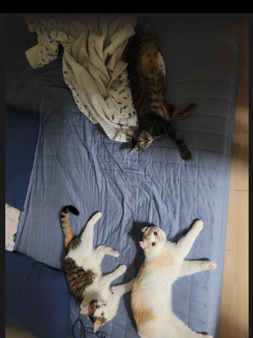 뭐라도 들을 거리가 필요하다면