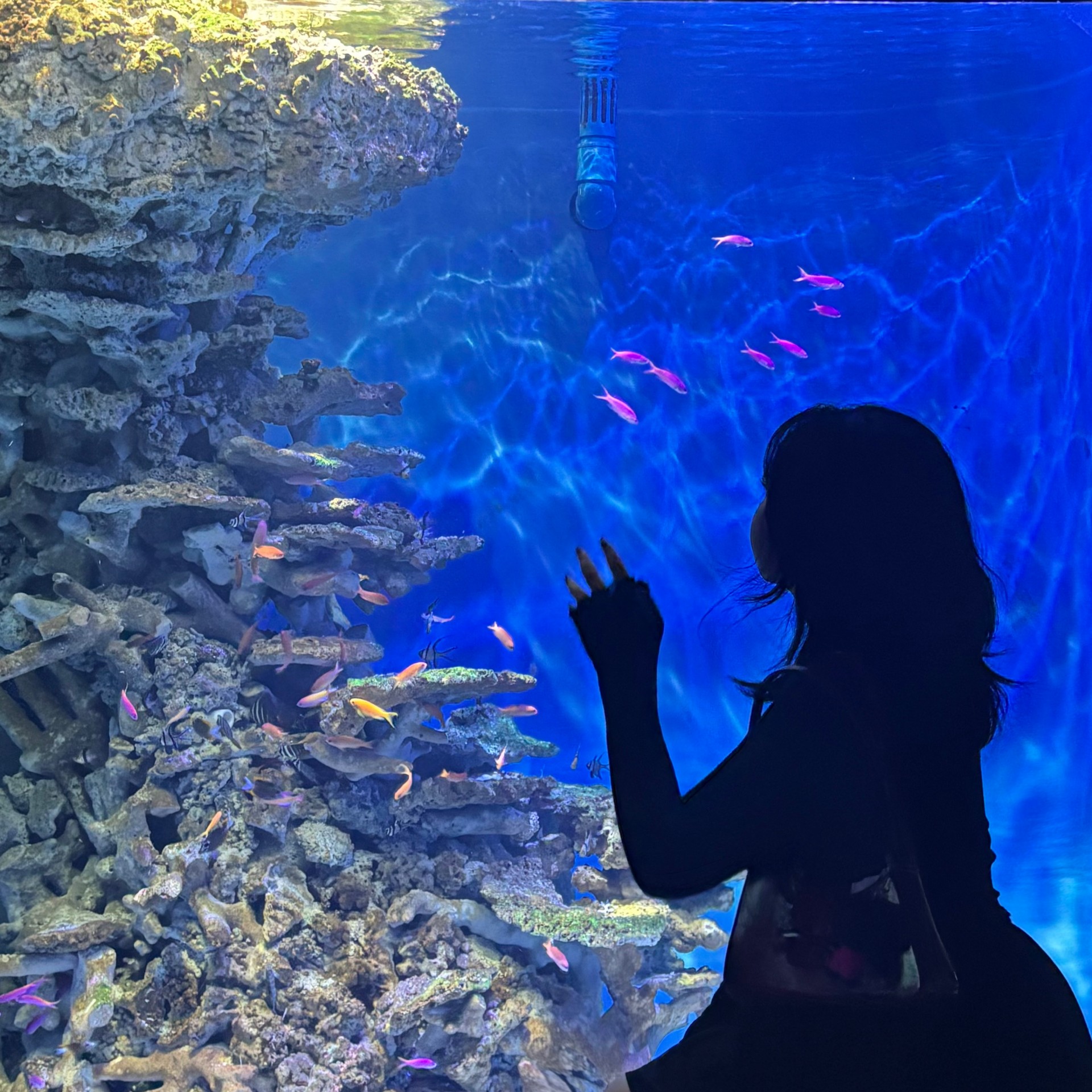 시간을 녹여드립니다.