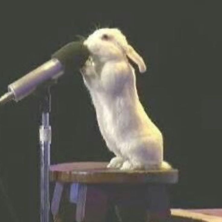 혼자서 노래방(?)