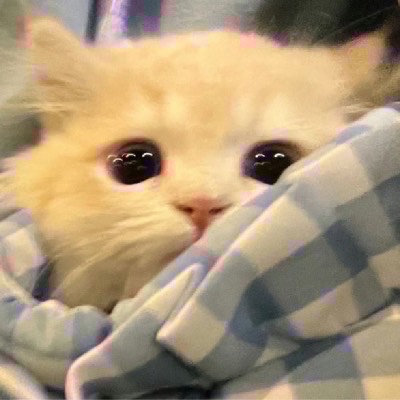 12월달…시작❄️(잠방)