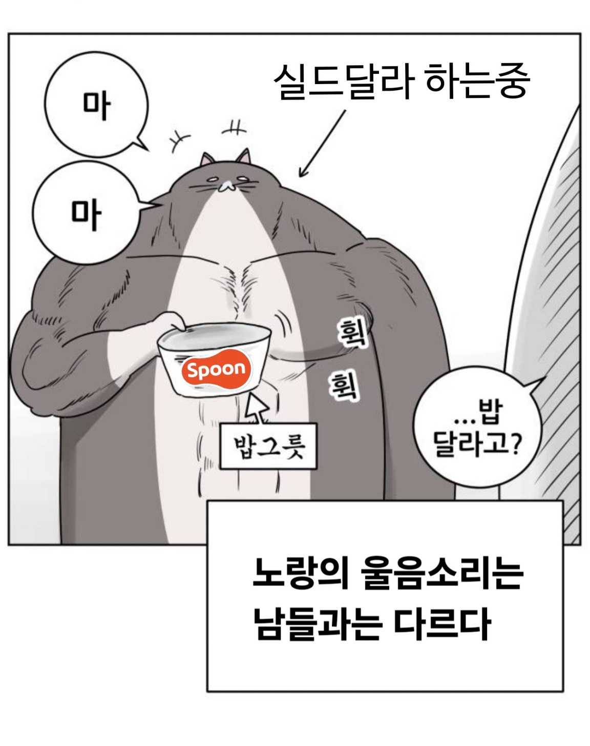 놓칠 수 없는 노랑 방송