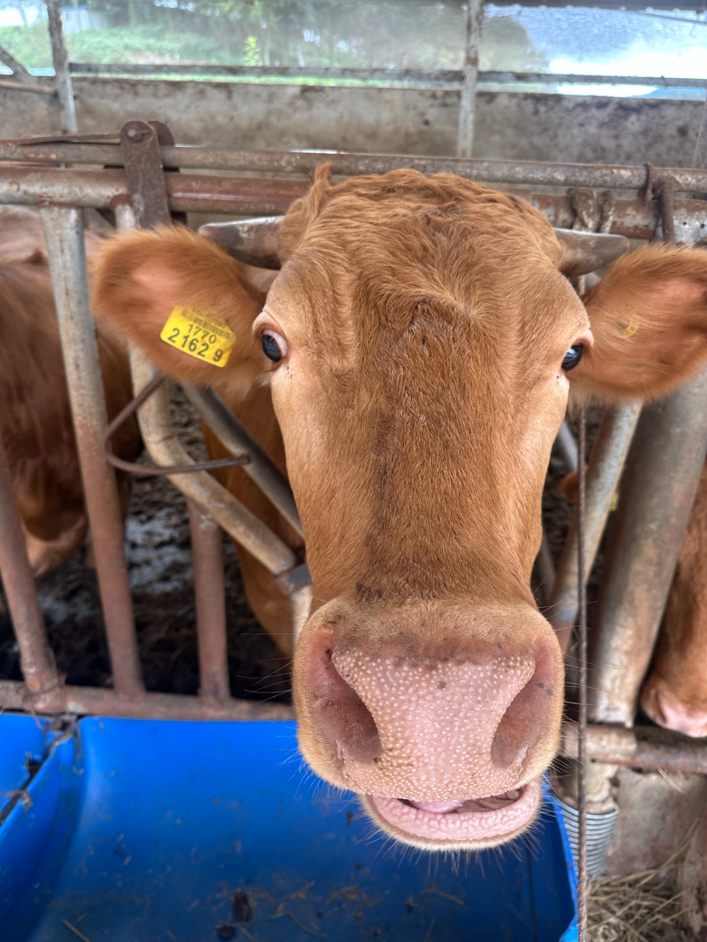 🩵 개꿀잼 소개팅 🩵 동접부족