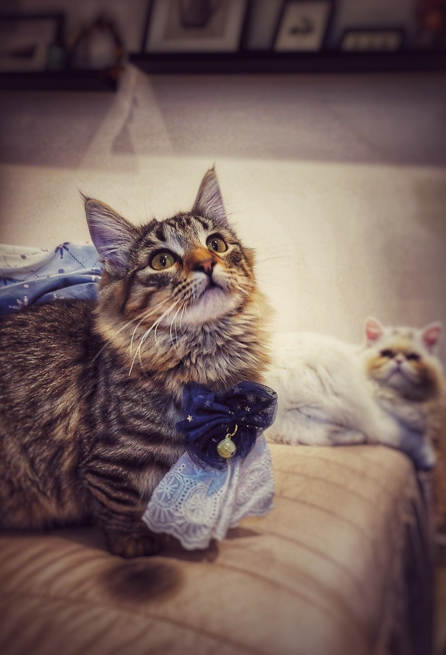 제 옆에 오면 설렐 거예요 🤍