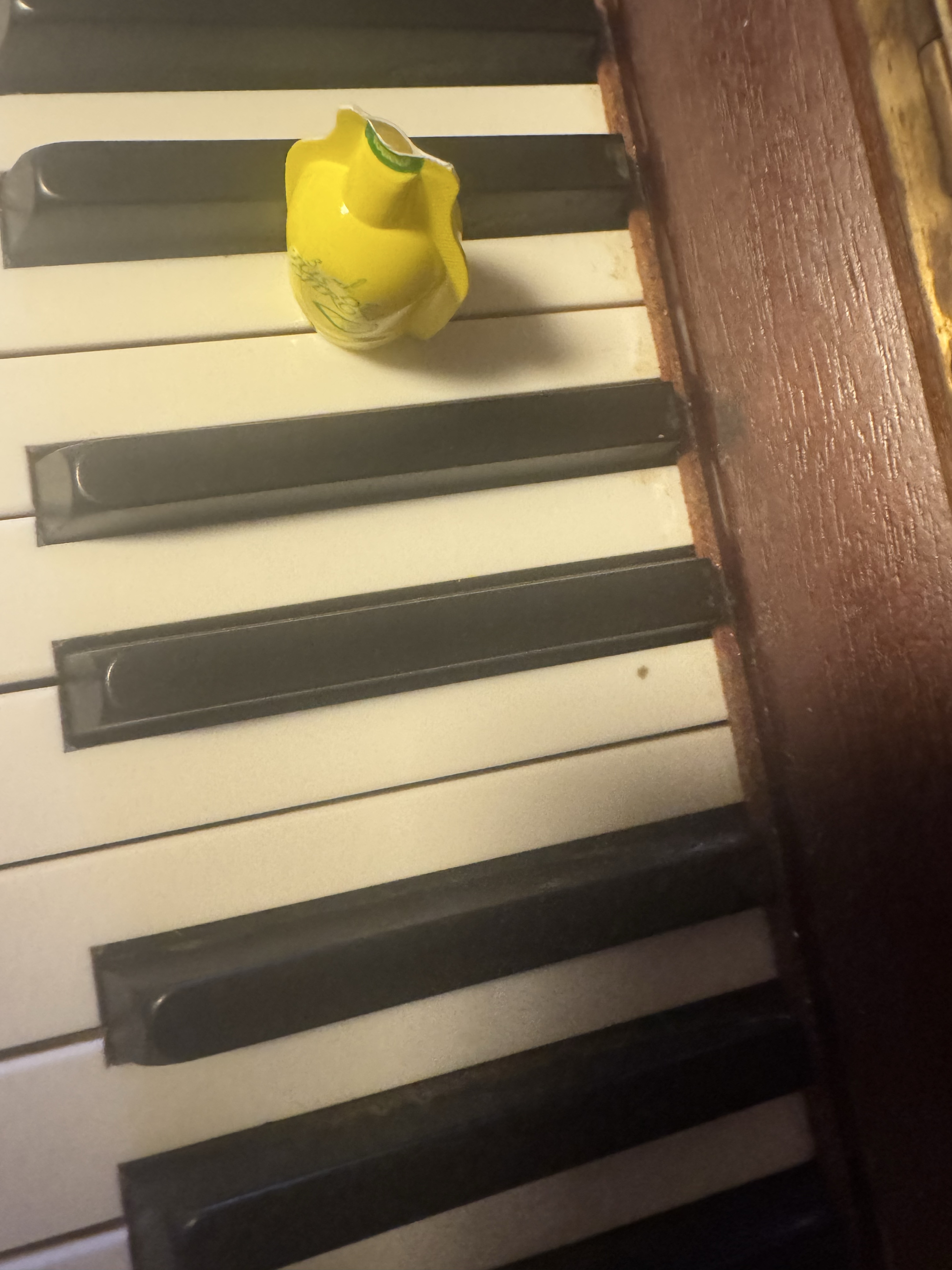 힐링이있는 피아노 라이브 연주🎹