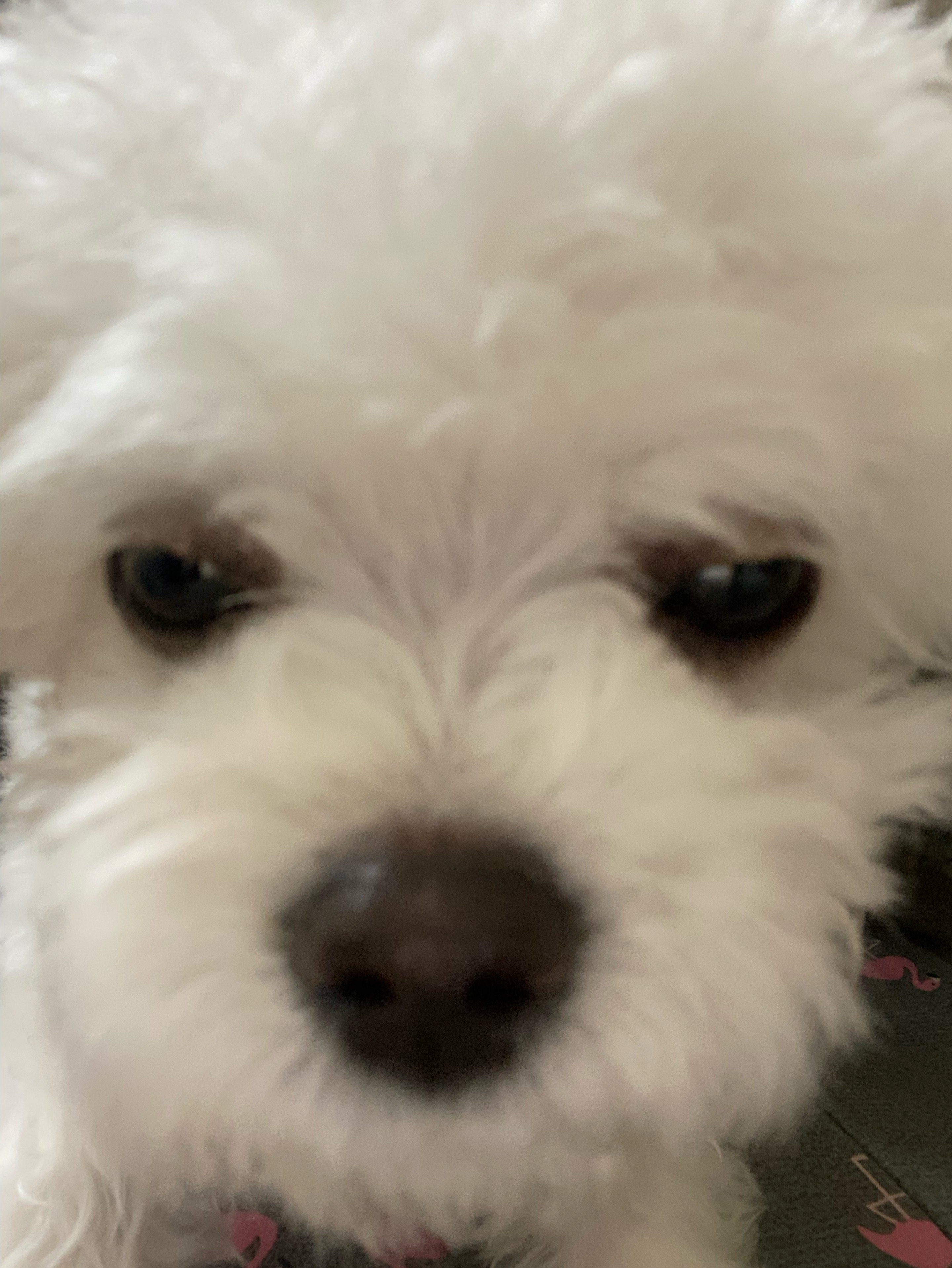 방ㅊ종 바로해줄게